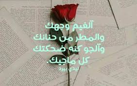 كلام غزل للزوج ليدي بيرد