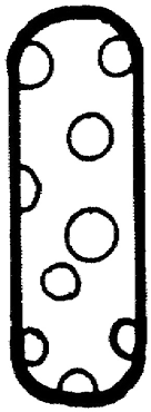 Polka dot letter coloring pages polka dot letter coloring pages is another image that is categorized in coloring pages alphabet this pictures was posted by diana a. Polka Dots Coloring Pages Birthday Printable