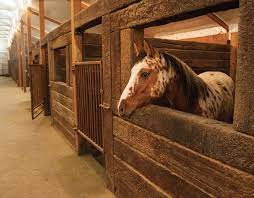 Small horse barns are a great option for farmers who have only one or two animals, or for homeowners who need serious outdoor storage. Heavy Duty Stalls Western Horseman