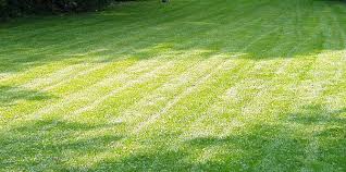 The most convenient lawn care austin, tx has to offer. Lawn Mowing Service Madison And Middleton Home Lawn Mowing Lawn Trimming Clean Up Lawn Service