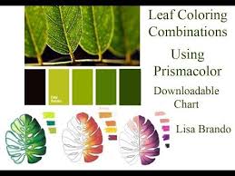 how to color leaves for coloring books tutorial leaf color