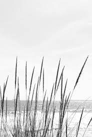 Coastal Wall Art Beach Grass Print Beach Photography Seascape Print B Black And White Picture Wall Black And White Landscape Black And White Photo Wall