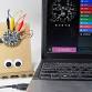 Programmable Robot Inchworms at Voorheesville Public Library