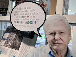 BJL Spotlight Part 2