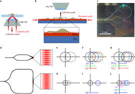 So, you've converted 1 eurozone euro to 6.397561 leocoin. Structured Illumination Microscopy Using A Photonic Chip Nature Photonics