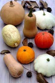 comment cuisiner les courges amandine cooking recette patisson recette courge comment cuisiner