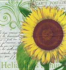 Petite Serviette 25x25 Soleil Tournesol Sur Fond De Carte Postale Un Grand Marche Fond De Carte Carte Postale Tournesol