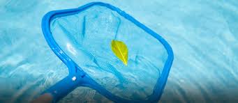 In that time, we've learned an awful lot about pools! Diy Ways To Clean And Maintain Your Pool Zameen Blog