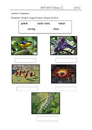 63 downloads 460 views 238kb size. Latih Tubi Soalan Latihan Sains Tahun 2 Cuti Bulan Mac 1