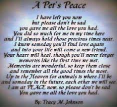 Don T Cry For Me Poem For Dogs Google Search Dog Death Pet Loss Quotes Losing A Pet