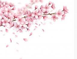 Download Branch With Beautiful Sakura Flowers And Falling Petals Realistic Composition Illustration For Free Cherry Blossom Drawing Flower Drawing Sakura Flower