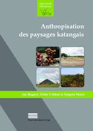 Image result for Wahlenbergia collomioides