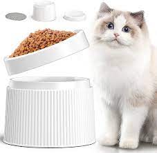 See more ideas about cat food dish, cat food, food dishes. Amazon Com Ipettie Elevated Cat Food Bowl Cat Dish Tilted Pet Feeding Station With Stand For Small Dog Made From Certified Food Safe Plastics Better Than Stainless Steel And Ceramic Kitchen