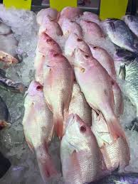 Kam Man Market East Hanover Seafoods 2 Fresh Seafood Man Frozen Food