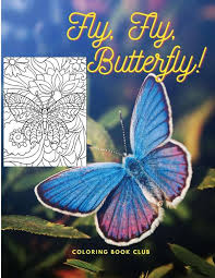 Butterfly coloring book apk is a casual games on android. Fly Fly Butterfly Coloring Book Club Buch Jpc