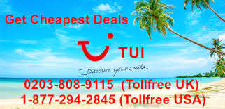 How To Check In Online Tui Airlines Stuttgart Airport Cologne Bonn Airport Dusseldorf Airport