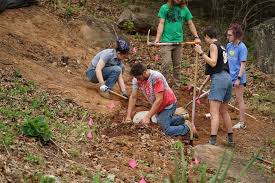 Work Day 2023: A Day of Change and Community at Warren Wilson College — The  Echo Newspaper