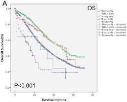 Liver Cancer Metastatic Prognosis Virus Del Papiloma Humano A Hombres