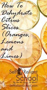 How To Dehydrate Citrus Slices Oranges Lemons And Limes Dehydrator Dehydrated Fruit Dehydrator Recipes
