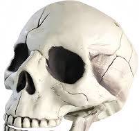 Amazon.de: SYTTNUM Halloween Beweglicher Kiefer voller Kopf Schädel,Deko  Schädel Jawbone,Realistische Skelett Schädel 1:1 Replica Kopf Knochen  Modell ...