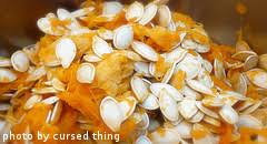 Can i save pumpkin seeds to plant next year? Saving Pumpkin Seeds