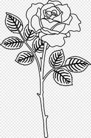 Pink Flower Flower Border Design Flower Photo Frame Design Flower Drawing Green Leaf Design Corner Design 477486 Free Icon Library Doodle strings clipart, string borders clip art, digital borders, png, eps, ai (vector) files, personal and commercial use clipart.