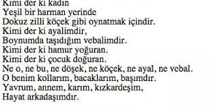 Hakan Aras Siir Sair Alintilar