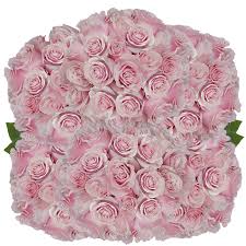 Send fresh, beautiful blooms at prices you'll love! Pink Mondial Roses Flowers For Sale Online Globalrose