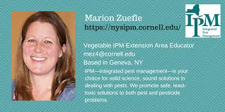 Cropconsult spend their days immersed in the world of insects and pathogens that affect local crops, and we are lucky to have them host this afternoon session. New York State Ipm Program