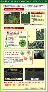ファイトシリーズ アグリマート シミズ