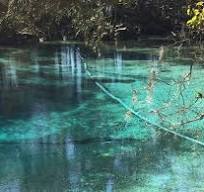 Hidden Gems in Crystal River - Fleurty Girl Travels