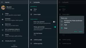 · görünüş altında aşağıdaki seçeneklerden birini işaretleyin: Whatsapp Karanlik Mod Nasil Kullanilir Android Ios