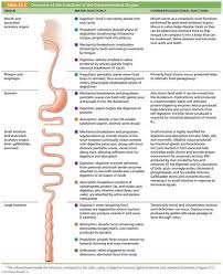 Http Classes Midlandstech Com Carterp Courses Bio211 Chap23 Table 23 02 Labeled Jpg Nursing Study Tips Medical Knowledge Nursing Study