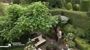 Norddeutschland hat den garten des jahres 2021. Sendung Vom 19 08 2012 Ratgeber Haus Garten Ard Das Erste