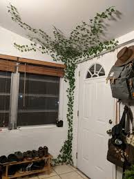 Fake Ivy On Wall In 2020 College Room Decor Fake Walls Pinterest Room Decor