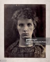 462 Cameron Wight Stock Photos, High-Res Pictures, and Images