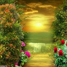 Imikimi Com Sharing Creativity Backdrops Backgrounds Beautiful Nature Wallpaper Studio Background Images