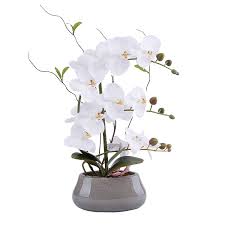 Make your dream garden into a reality with our fantastic range of garden flower pots. Livilan White Orchid Artificial Flowers With Pot Large Fake Silk Orchids Plant Orquidea Artificial Phalaenopsis Orchid With Ceramic Grey Vase Indoor Decor Table Decoration Silk Flower Arrangements