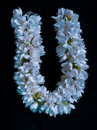 Symbolic And Spiritual Meaning Of Jasmine Flowers Flower Meanings Fake Flowers Jasmine Flower