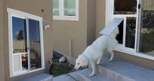 A dog door gives your pup the freedom to roam around in your premises freely. Install Pet Door Diy Doggy Door By Pet Door Products
