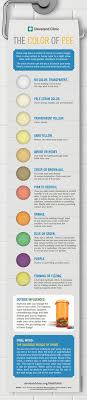 What The Color Of Your Pee Says About Your Health Cleveland Clinic How To Stay Healthy Body Health