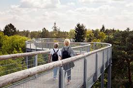 Die grundidee, einen so geschichtsträchtigen lost place von oben. Frische Luft Auf Dem Baumkronenpfad Tanken Ausflugsziel Baumkronenpfad Beelitz Heilstatten Auch An Diesem Wochenende Geoffnet Zauche 365