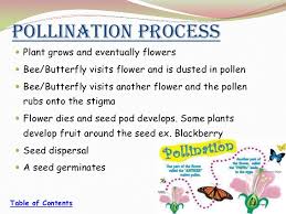 Each role is a part of the mystery that answers the question of how do bees reproduce. Flower Pollination Process Algorithm Resources Guide Cityflowersindia