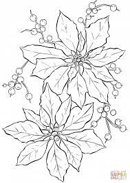Poinsettia Flower Super Coloring Hada Grafico Colores De Navidad Pintura En Tela Navidad