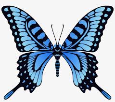 Are you searching for flying butterflies png images or vector? Butterfly Png Image Flying Butterfly Animation Gif Transparent Png 979x816 Free Download On Nicepng