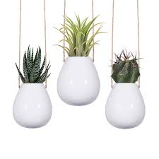 By including native plants in your landscape, you can supply local wildlife, such as butterflies, with the food. 2 5 White Hanging Planters Set Of 3 Small White Ceramic Pots Indoor Plants Hangers Hanging Pot Holders Hanging Ceramic Vase Amazon Com Au