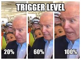David Knight On Twitter Triggered Over Guns Biden Says Don T Yell Fire Ar14 2a 1a 2adefenders Secondamendment Biden S Always Been A Dangerous Statist Hammering Clarence Thomas During Hearings B C Thomas Supported Natural