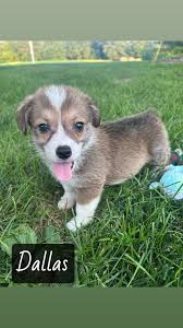 Missing package delivery at 13574 sr 550