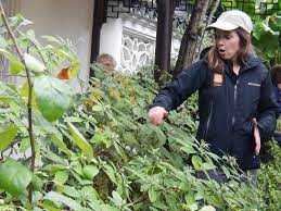 Maybe you would like to learn more about one of these? A Tapestry Garden The Art Of Weaving Plants And Place Multnomah County Master Gardener Association