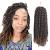 Havana Twist Jumbo Twist With Kanekalon Hair